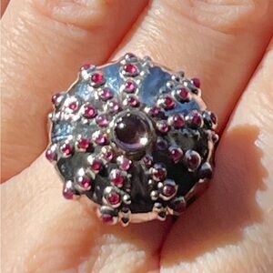 🎉H-P🎉 Extraordinary Amethyst Ruby 925 Silver Sea Urchin Ring Sz 6.75 Stu…